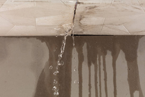 Professional Flood Damage Cleanup technician working in Millburn, NJ